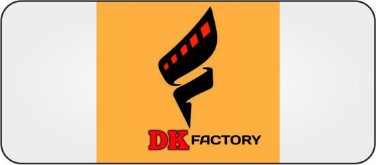 Company 4